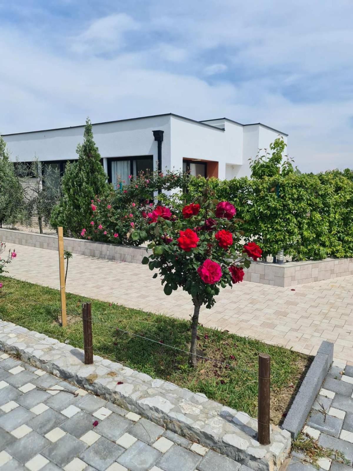Imperial Family Resort Ulcinj Exterior foto
